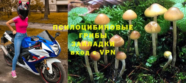 герыч Алзамай